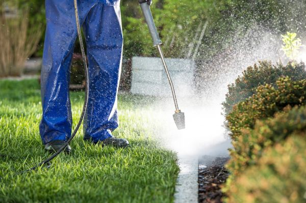 Curb Cleaning in Niceville