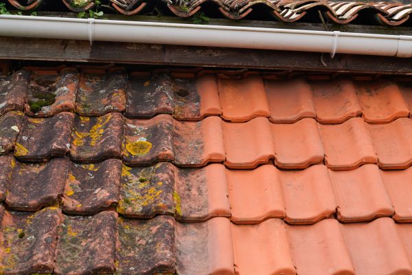 Industrial Roof Cleaning in Niceville